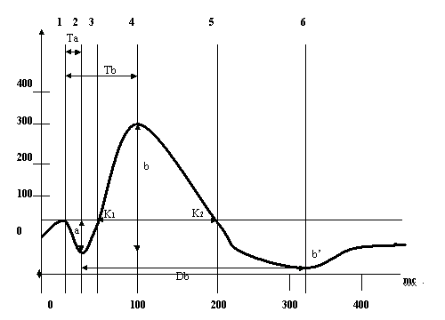 Шамшинова Рис. 1. Схематическое изображение ЭРГ с расчетом кинетики b-волны ЭРГ. По оси ординат - амплитуда волн ЭРГ, мкВ, по оси абсцисс - длительность волн ЭРГ
