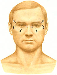 Самомассаж биологически активных точек (БАТ) при зрительном утомлении
